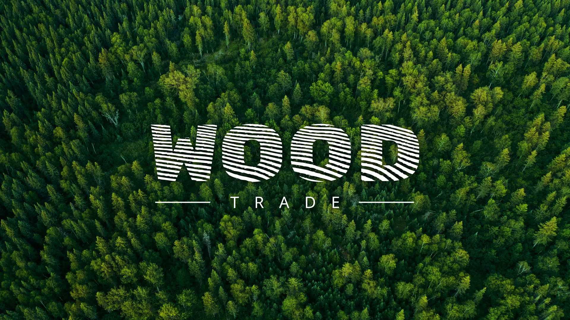 Разработка интернет-магазина компании «Wood Trade» в Королёве