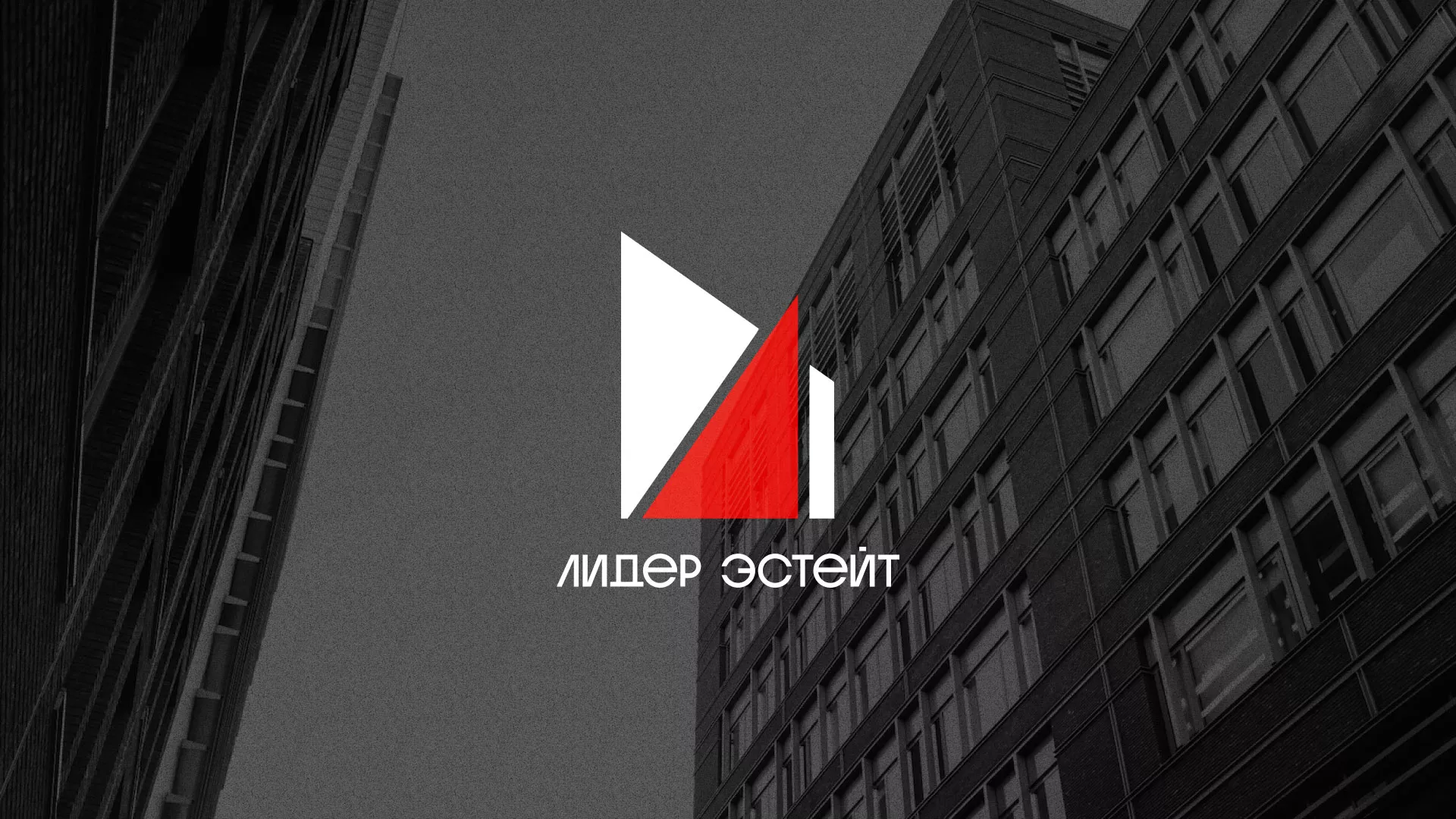 Сделали логотип для агентства недвижимости «Лидер Эстейт» в Королёве